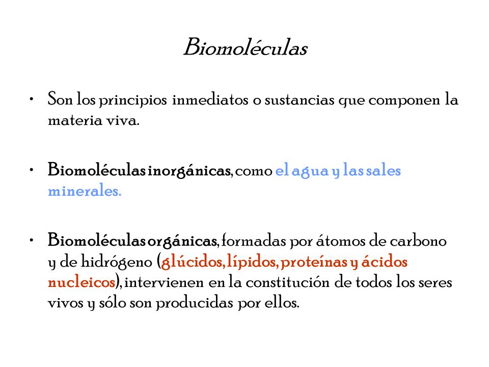 cuales son los principios inmediatos en los seres vivos